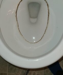 PUMIE Toilet Bowl Ring Remover, TBR-6, Grey Pumice Stone with Handle, Removes Unsightly Stains from Toilets, Sinks, Tubs, Showers, Pools, Safe for Porcelain, 1 Pack 1 Count (Pack of 1) 45 61ezp1TjyEL