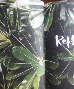 52 Lists for Happiness: Weekly Journaling Inspiration for Positivity, Balance, and Joy (A Guided Self -Love Journal with Prompts, Photos, and Illustrations) Diary 45 61fBFnYDwpL