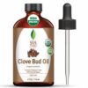 SVA Organics Clove Bud Essential Oil 4 Oz Organic USDA 100% Pure Natural Undiluted Premium Therapeutic Grade Oil for Skin, Teeth, Diffuser, Aromatherapy 4.00 Fl Oz (Pack of 1) 20 61fCEVfYOML