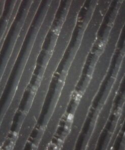 Opti-Tekscope Digital USB Microscope Camera- Advanced CMOS Sensor, True High Definition Macro 200x Zoom Imaging –1600 x 1200, Video, Flexible Acrylic Stand, 8 LED, Windows Mac Linux 29 61fFU27SPML