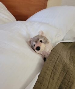 Wild Republic Wolf Plush, Stuffed Animal, Plush Toy, Gifts for Kids, Cuddlekins, 8 Inches 8 in 17 61fN6k6gogL