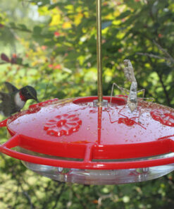 Aspects 367 Hummzinger Ultra Hummingbird Feeder, 12-Ounce,4 Feeding,Red 24 61fYzrdvNUL