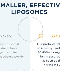 Quicksilver Scientific Nanoemulsified D3K2 - Emulsified Liquid Vitamin D3 + K2 MK7 Liposomal Supplement for Heart, Bone Health + Immune Support - Bioactive 2500IU for Enhanced Absorption (1.7oz/50ml) 6 61fZ7VAlz5L
