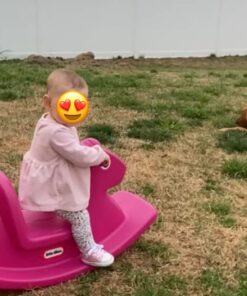 Little Tikes Rocking Horse Magenta Small 25 61fg1V4AnXL