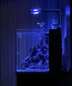 Fluval Spec/Evo/Flex Activated Carbon, Replacement Aquarium Filter Media, 3-Pack, A1377,Black Evo/Spec/Flex 9 61fhYuKwK0L