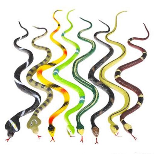 Rhode Island Novelty 14 Inch Rain Forest Snakes, Two Dozen Assorted