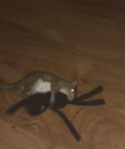 Minecraft Enderman 7" Plush 34 61freDrN7SL