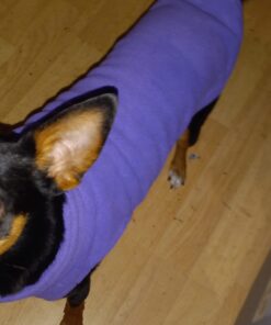 Gooby Fleece Vest Dog Sweater - Lavender, Medium - Warm Pullover Fleece Dog Jacket with O-Ring Leash - Winter Small Dog Sweater Coat - Cold Weather Dog Clothes for Small Dogs Boy or Girl Medium chest (~16") 36 61fwuSxP9RL