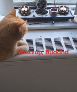 MyGift Desktop Zen Garden Kit with Buddha Statue, Incense Burner, Sand, Rake and Lotus Tea Light Candle Holder 34 61g2WRiDrGL