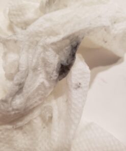 ORBLUE Garlic Press Stainless Steel - Premium Professional Grade Garlic Mincer, Crusher & Peeler Set - Easy Clean, Dishwasher Safe & Rust-proof Ageless Silver 32 61g68RE90SL