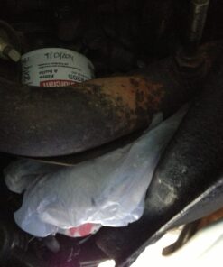 Motorcraft FL-820-S Oil Filter 1 Count (Pack of 1) 23 61g6XpCgbL