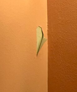 Command Medium Wall Hooks, Damage Free Hanging Wall Hooks with Adhesive Strips, No Tools Wall Hooks for Hanging Christmas Decorations, 7 Clear Wall Hooks and 12 Command Strips 34 61g6tonkyIL