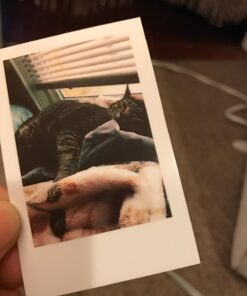 Polaroid 2x3ʺ Premium Zink Photo Paper (50 Pack) Compatible with Polaroid Mint Camera, Snap/Snap Touch Instant Print Cameras and Zip Photo Printers 50 Pack Zink Paper 29 61g8P0bZw2L