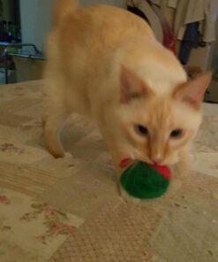 Alternative view of Multicolor Splash Ball Mega Value Pack (11" x 6.25") - 6 Packs Of 24 - Soft Sponge Water Play Balls For Pool, Beach & Outdoor Fun