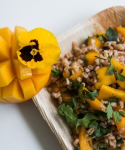 Palm Leaf Square Plate with Rounded Corners (Case of 100), PacknWood - Eco Friendly Compostable Wooden Disposable Plates (6" x 6" x 0.8") 210BBA1717 100 Pieces 6" x 6" 17 61gMRBjVcL