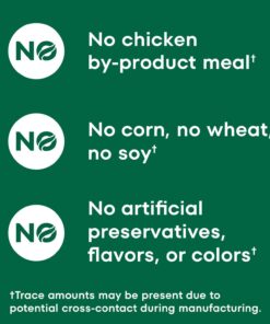 NUTRO Crunchy Dog Treats with Real Peanut Butter, 10 oz. Bag 10 Ounce (Pack of 1) 17 61gN asqPYL