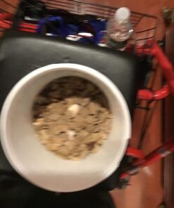 Stewart Freeze Dried Dog Treats, Beef Liver, Grain Free & Gluten Free, 14 Ounce Resealable Tub, Single Ingredient, Made in USA, Dog Training Treats 14 Ounce (Pack of 1) 33 61gQWE3IpWL 1