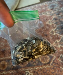 Bigs Sunflower Seeds Ranch 5.35 Ounce Pack of 4 9 61gVJhwXqML