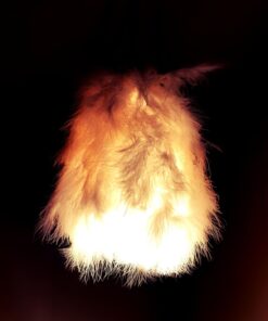 Newhouse Lighting WLG1B Ca Metal Guard for Ceiling Fan, Pendant String Light and Vintage Lamp Shades/Cover, Industrial Wire Fixture Iron Bird Cage, 1 Count (Pack of 1), Black 1 Count (Pack of 1) 39 61gYk6aIWL