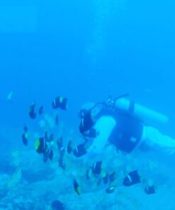 AKASO EK7000 4K30FPS 20MP Action Camera Ultra HD Underwater Camera 170 Degree Wide Angle 98FT Waterproof Camera Support External Microphone Black 36 61gjPAuhsIL