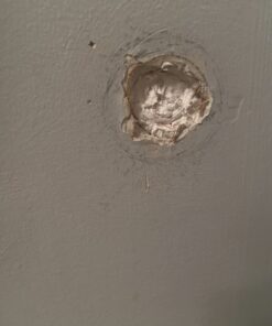 Stuff-fit - DS8044 Copper Mesh for Mouse Rat Rodent Control as Well as Bat Snell Control 30 Foot Roll, Full Size 30 61glsRtRCzL