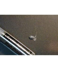 Arctic Silver 5 AS5-3.5G Thermal Paste 35 61gp7B9cpGL