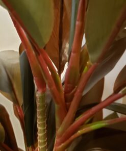 Nearly Natural 6580 Cordyline Silk Plant Real Touch, 5-Feet, Green 26 61gt32dNrsL