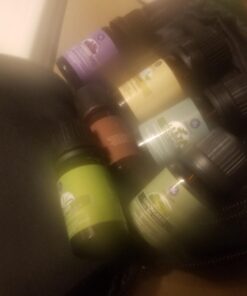 Sun Essential Oils 4oz - Tea Tree Essential Oil - 4 Fluid Ounces 4 Fl Oz (Pack of 1) 28 61h 6JtCTcL