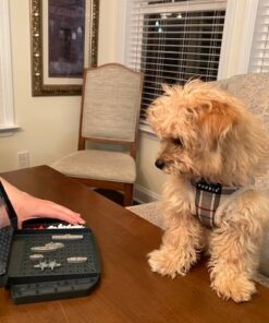 Hasbro Gaming Battleship With Planes Strategy Board Game for Ages 7 and Up (Amazon Exclusive) 51 61h0b39RH7L