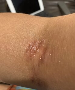 Nature's Way Herbal Neem Leaf, Traditional Ayurvedic Intestinal Remedy*, 100 Vegan Capsules 47 61hBpgmLL7L