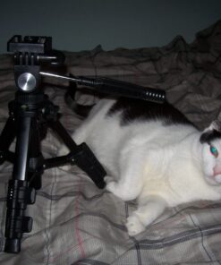 RetiCAM Tabletop Tripod with 3-Way Pan/Tilt Head, Quick Release Plate and Carrying Bag for Phones, Cameras and Spotting Scopes - MT01 Mini Tripod, Aluminum, Black 37 61hE1A3qvYL