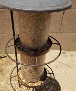 Perky-Pet 325S Panorama Bird Feeder 29 61hI7OaF3sL