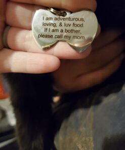 GoTags Stainless Steel Pet ID Tags, Personalized Dog Tags and Cat Tags, up to 8 Lines of Custom Text, Engraved on Both Sides, in Bone, Round, Heart, Bow Tie and More Regular (Pack of 1) 30 61hJASeWL