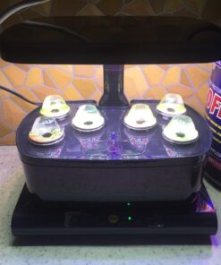 AeroGarden Salsa Garden Seed Pod Kit, 7 38 61hK76TEBLL