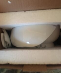 Necoichi Raised Cat Water Bowl, Elevated, with Measurement Lines, Dishwasher and Microwave Safe (Cat, Regular) 55 61hMdn4ZQtL