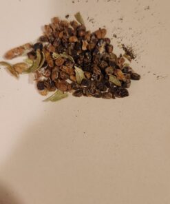 Krups Coffee and Spice Grinder 12 Cup Easy to Use, One Touch Operation 200 Watts Dry Herbs, Nuts Black Blade Grinder 26 61hQLLGl8rL