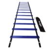 Yes4All 8-12 - 20 Rungs Agility Ladder Speed Training Equipment - Speed Ladder for Kids and Adults with Carrying Bag E. 12 Rungs Blue 24 61hS6toMgnL