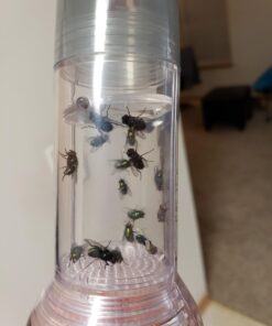 Nature Bound Bug Catcher Toy, Eco-Friendly Bug Vacuum, Catch and Release Indoor/Outdoor Play, Ages 6+ Retail Packaging 28 61hSFGdiO3L