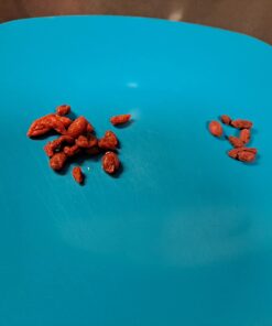 Organic Dried Goji Berries - Non-GMO and Vegan Goji Berries Organic, Perfect for Baking, Teas and Healthy Snacks for Adults (1 lb) 1 Pound (Pack of 1) 28 61hTLL5flL