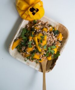 Palm Leaf Square Plate with Rounded Corners (Case of 100), PacknWood - Eco Friendly Compostable Wooden Disposable Plates (6" x 6" x 0.8") 210BBA1717 100 Pieces 6" x 6" 19 61hUyYljgRL