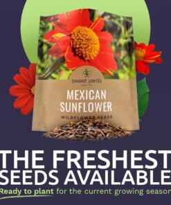 Alternative view of Mexican Sunflower Seeds – Extra Large Packet – Over 2,500 Open Pollinated Non-GMO Wildflower Seeds – Tithonia rotundifolia 1 Ounce Pouch