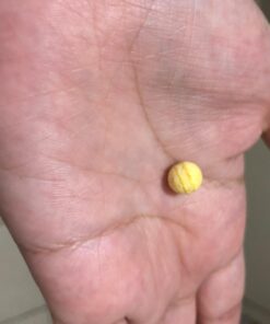 Earth's Pearl Probiotic Pearls for Women and Men - Kids Probiotic with Prebiotic Fiber - Daily Probiotic for Women and Men - 60-Day Supply of Prebiotics and Probiotics for Women and Men Probiotic 2 Month Supply 48 61hWkRC1vsL