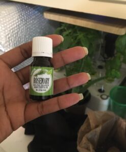 Healing Solutions 10ml Oils - Rosemary Essential Oil - 0.33 Fluid Ounces 0.33 Fl Oz (Pack of 1) 26 61hYIAD1lPL