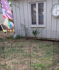 MidWest Homes for Pets Foldable Metal Dog Exercise Pen / Pet Playpen. Black w/ door, 24'W x 30'H, 1-Year Manufacturer's Warranty 30" H 38 61hb8ogpOqL