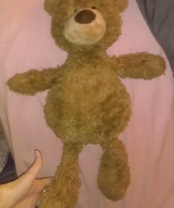 GUND Pinchy Teddy Bear, Premium Stuffed Animal for Ages 1 and Up, Brown, 17” 23 61hjAC8eM4L