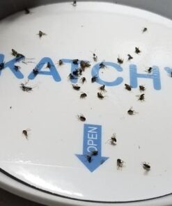 Katchy Indoor Insect Trap - Catcher & Killer for Mosquitos, Gnats, Moths, Fruit Flies - Non-Zapper Traps for Inside Your Home - Catch Insects Indoors with Suction, Bug Light & Sticky Glue (White) Original White 33 61hqc68H9JL 1
