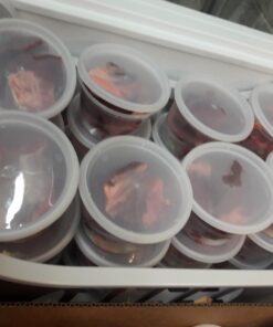 Deli Food Storage Containers with Lids, 16 Ounce (48 Count) 48 Pack 22 61httDhARiL