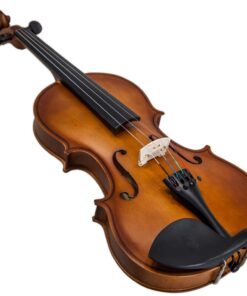 Alternative view of SKY(Paititi) 1/4 Size SKYVN102 Student Violin with High Quality Lightweight Case, Brazilwood Bow, Shoulder Rest, String, Rosin and Mute