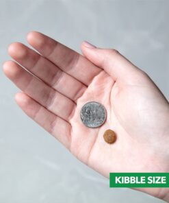 IAMS Smart Puppy Large Breed Dry Dog Food with Real Chicken, 30.6 lb. Bag 30.6 Pound (Pack of 1) 35 61hyAuegF1L