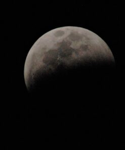 Opteka 500mm/1000mm f/8 Manual Telephoto Lens for Nikon F-Mount D6, D5, D4, DF, D850, D810, D780, D750, D700, D610, D500, D7500, D7200, D7100, D5600, D5500, D5300, D5200, D3500, D3400, D3300, D3200 70 61i0lNk6IIL